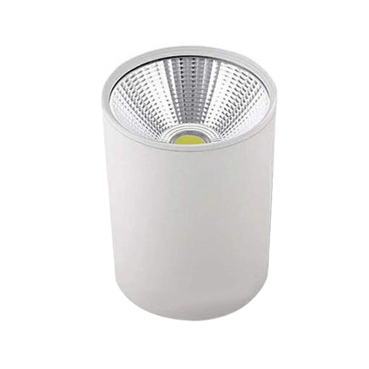 ANKUR MDM CYLINDRICAL SURFACE LED DOWNLIGHT - Ankur Lighting