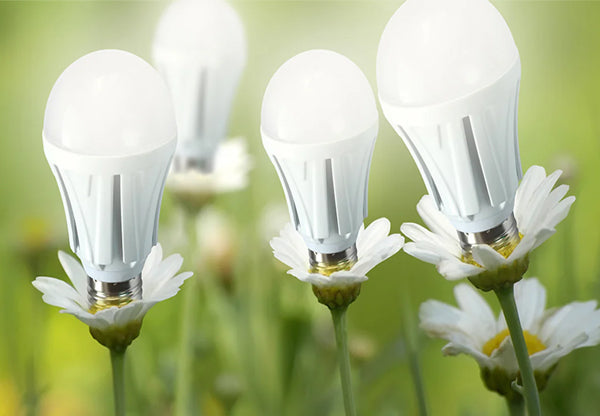 Spring Into Savings: How LED Lighting Can Reduce Energy Costs with Ankur Lighting
