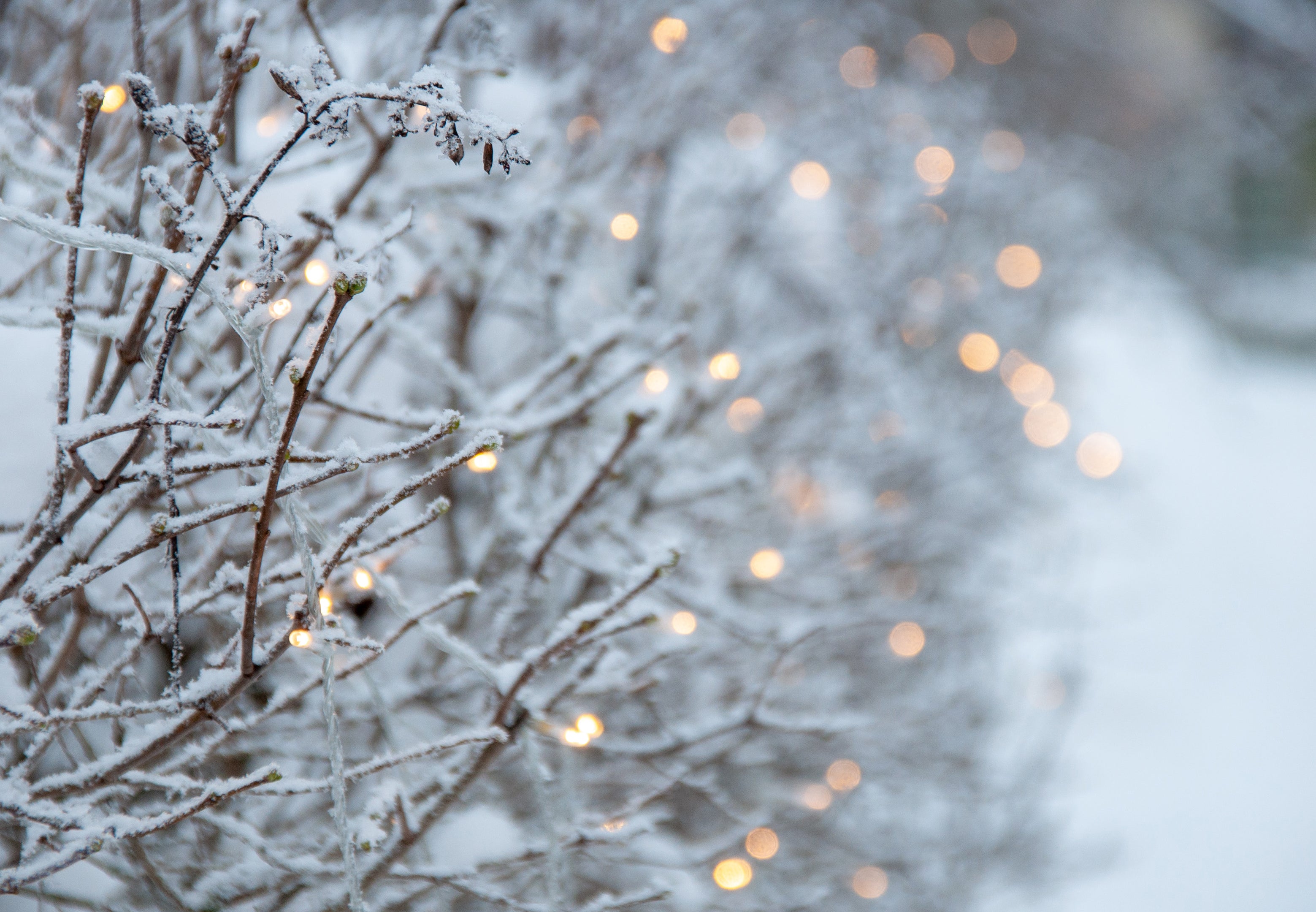 Light Up Your Winter Nights: Transforming Your Space with LED Magic in December