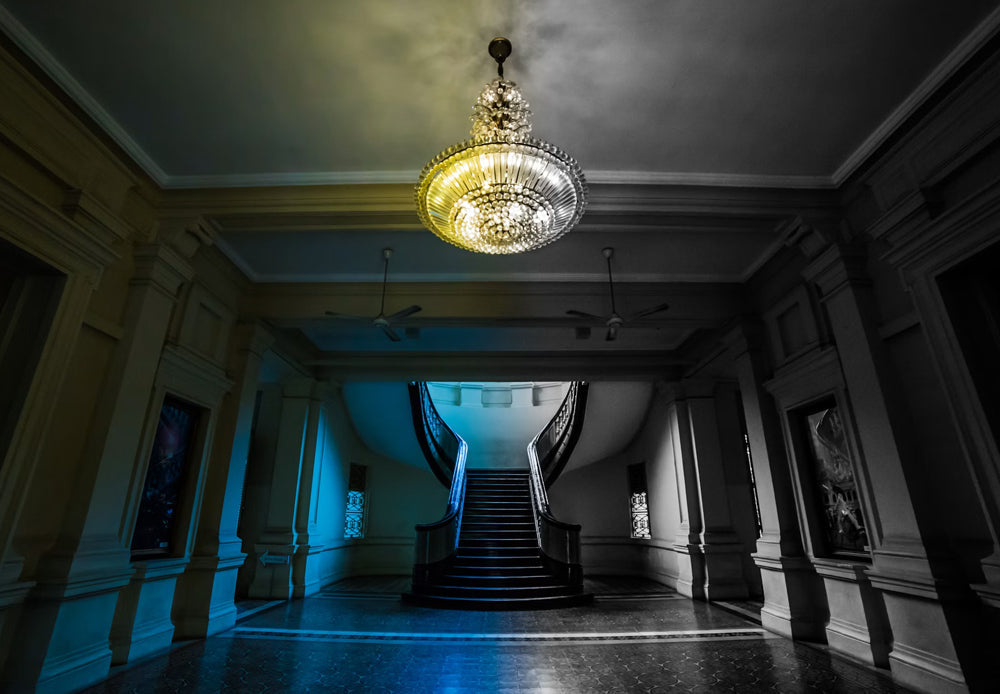 Warm Light vs Cool Light: Which Should You Choose?