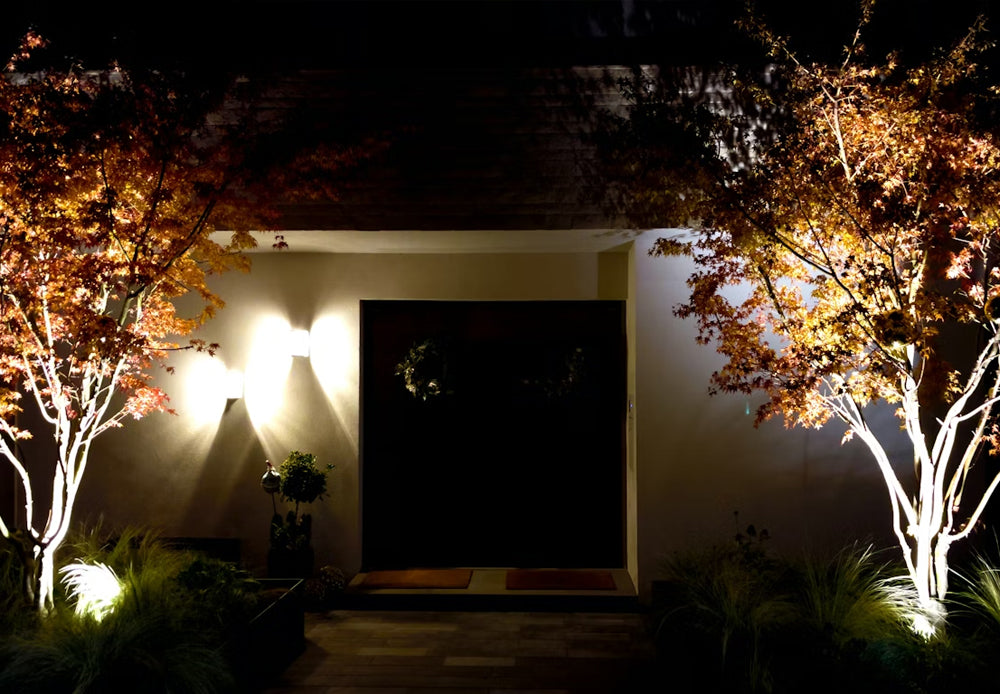 Modern outdoor wall lighting illuminating an entryway with decorative trees at night
