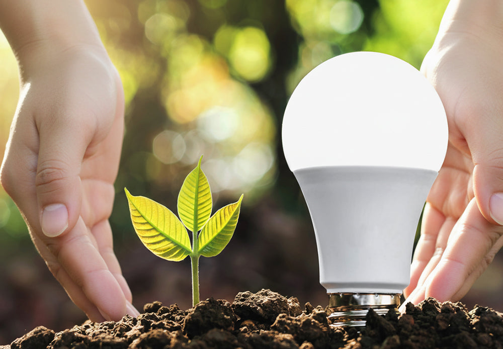 Hands protecting a small green plant and an energy-efficient LED light bulb in soil.