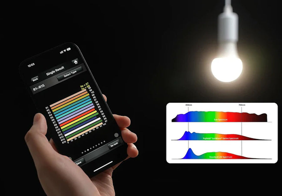 Understanding Lumens and Watts: How to Pick the Perfect LED Light