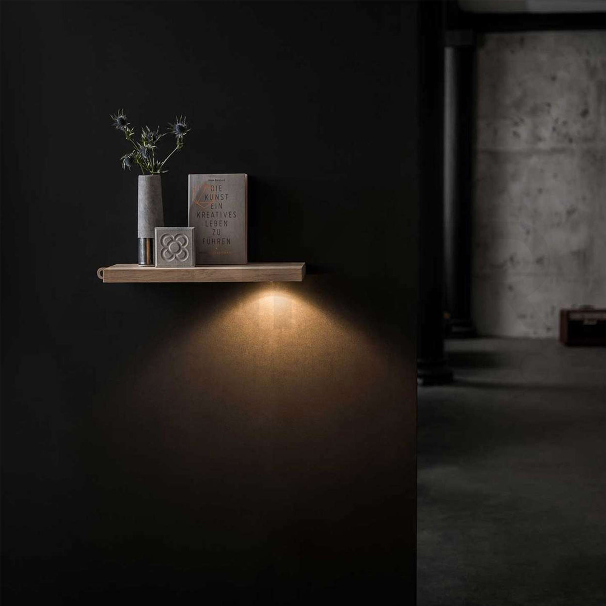 ANKUR BEEP LED NICHE LIGHT