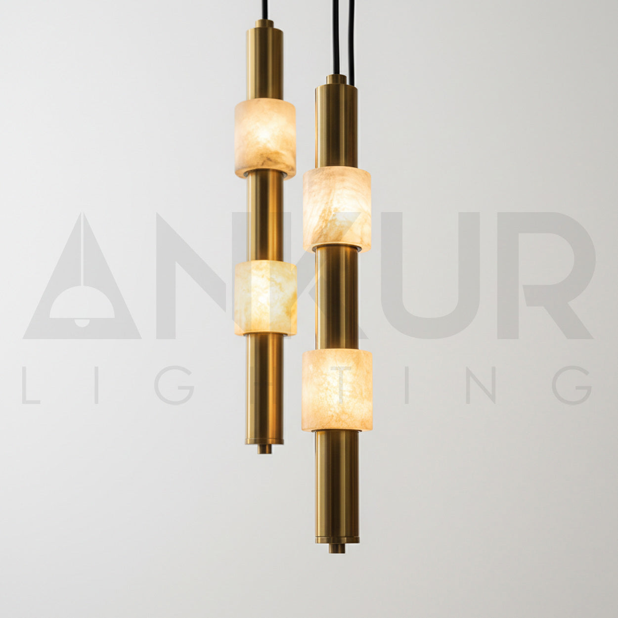 ANKUR PARIET RING METAL LED MODERN HANGING LIGHT