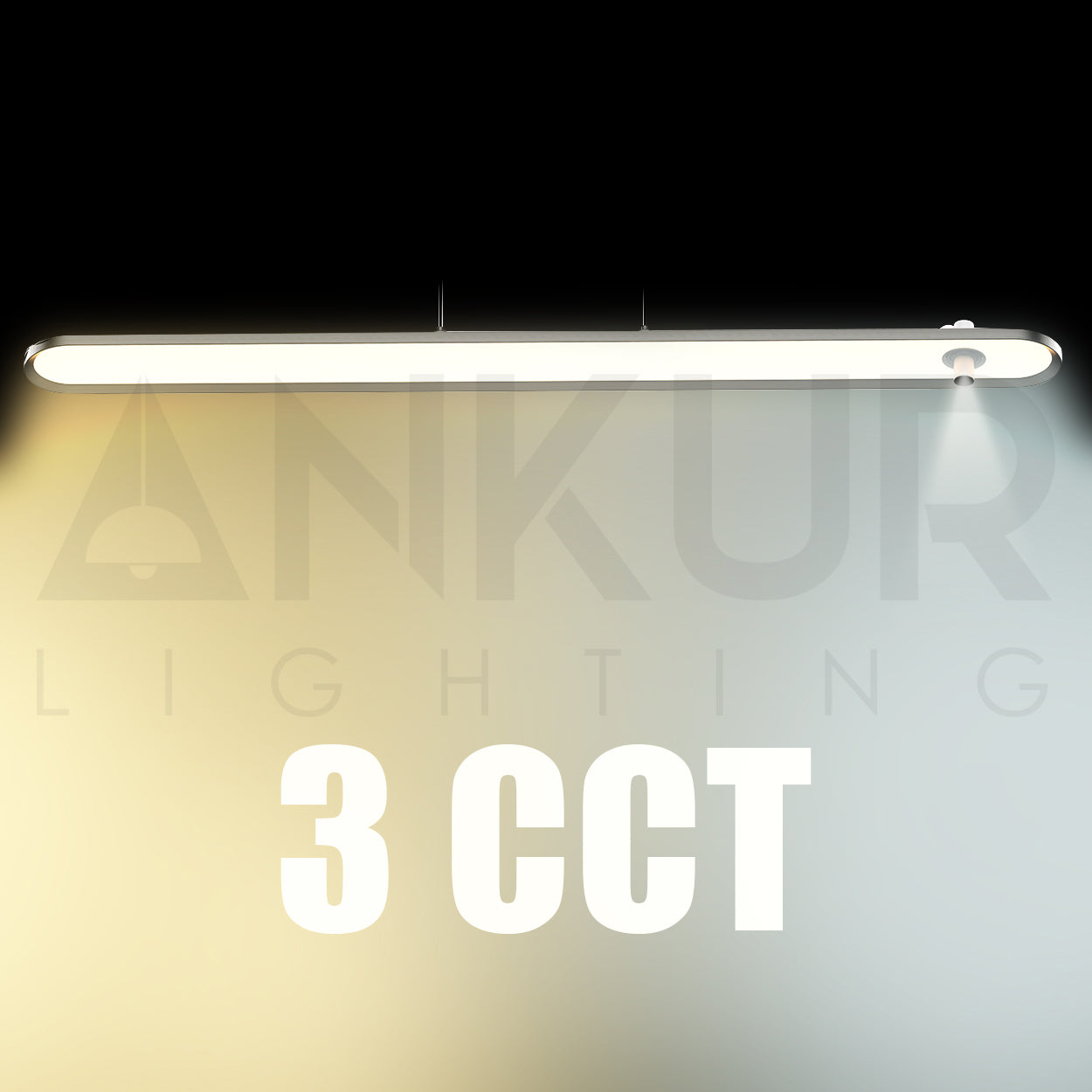 ANKUR GOCCIA OVAL 3CCT LED WITH ADJUSTABLE LIFT FUNCTION HANGING LIGHT