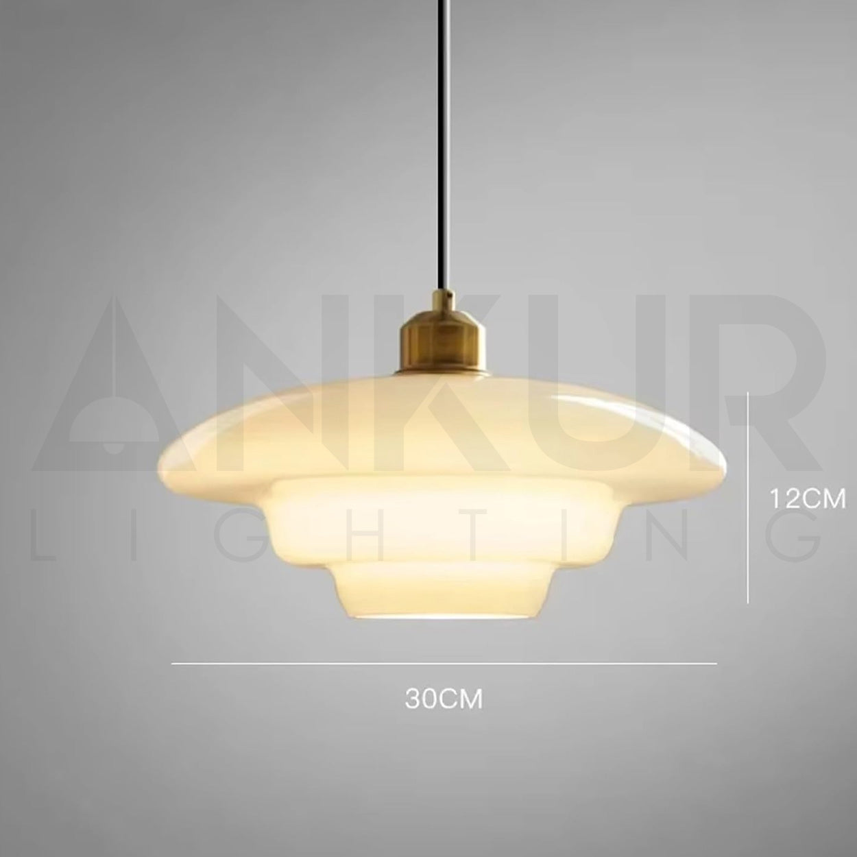ANKUR SPARROW METAL MODERN MINIMILIST GLASS HANGING LIGHT FOR LUXURY HOME LIGHTING