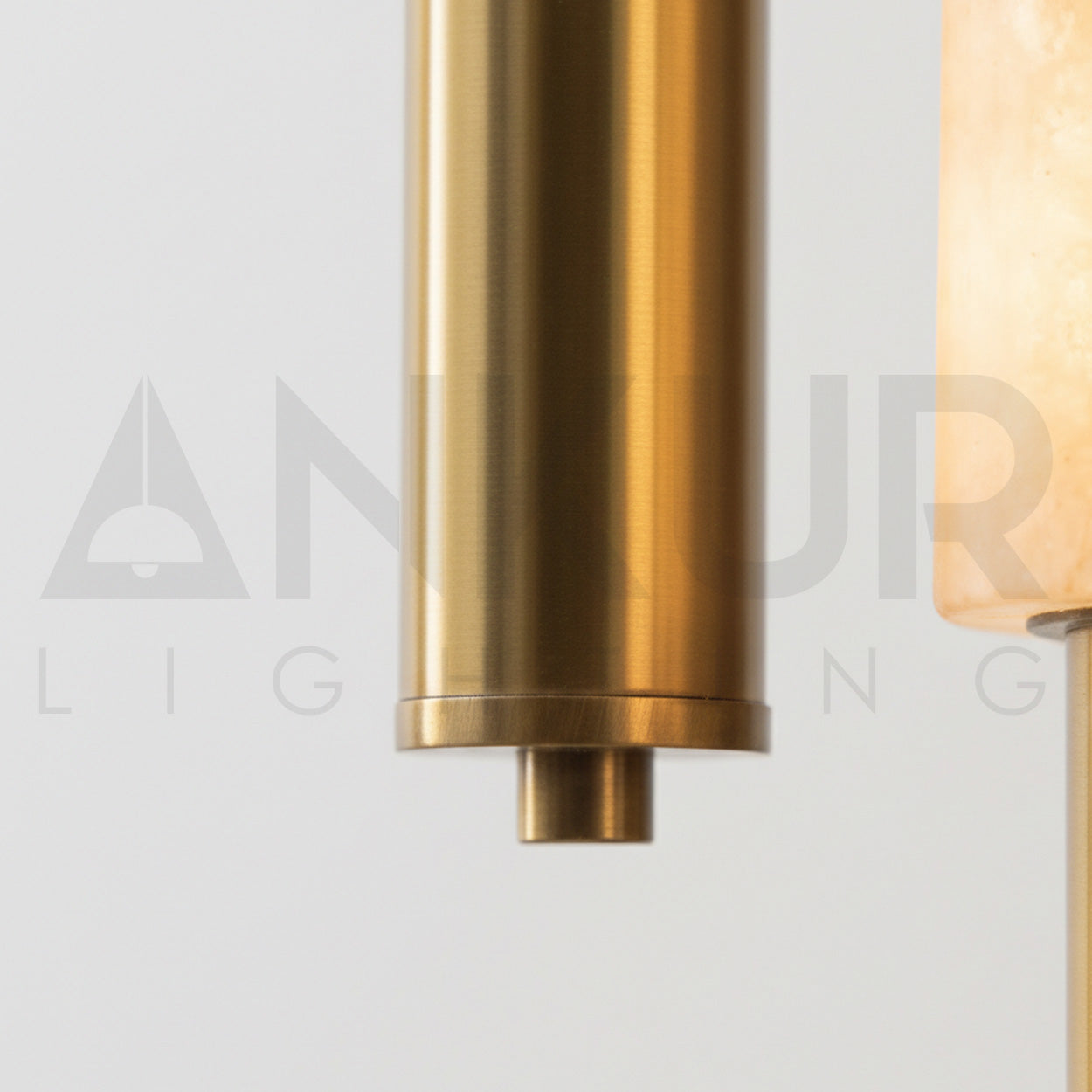 ANKUR PARIET RING METAL LED MODERN HANGING LIGHT