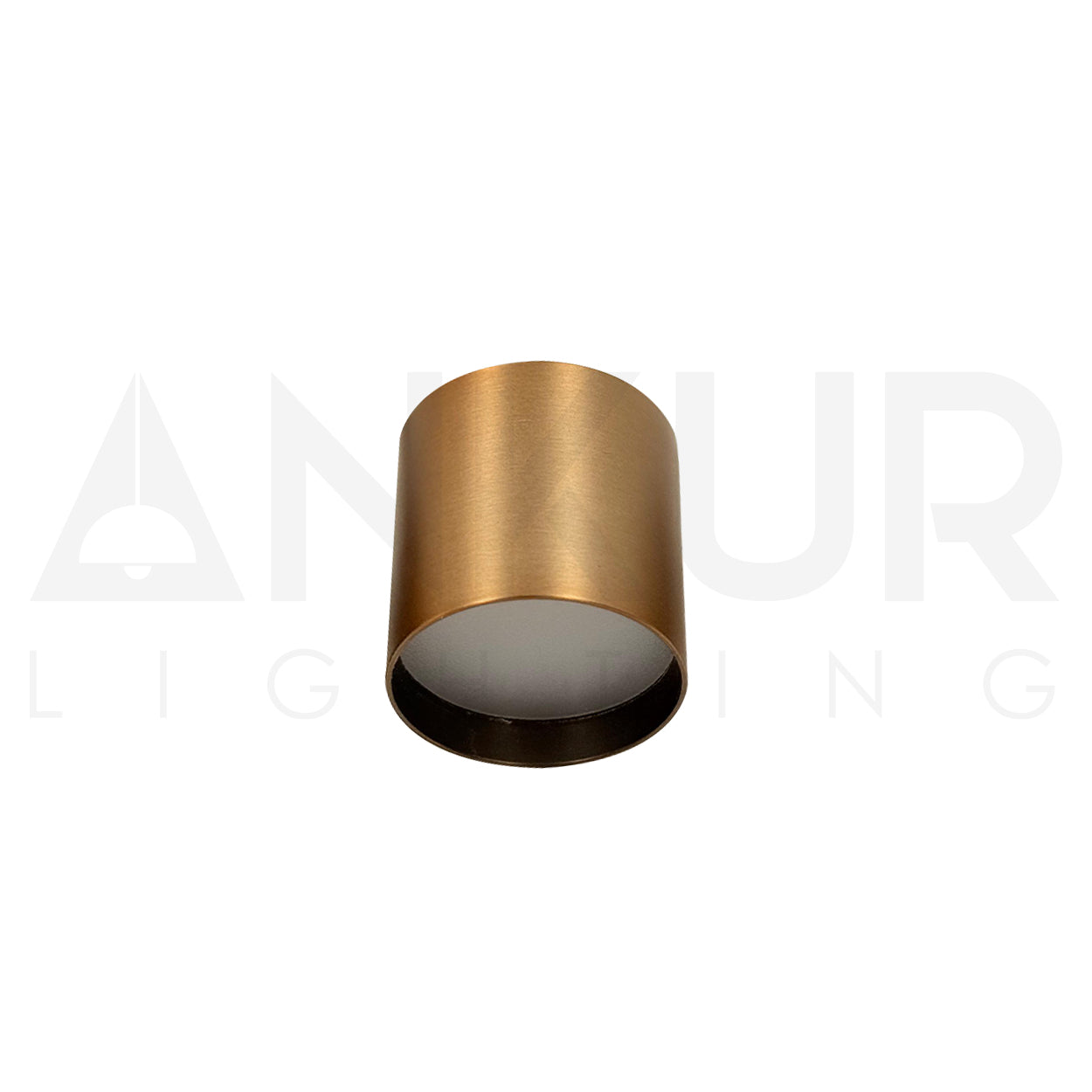 ANKUR MINI TURTLE SURFACE MOUNTED LED DOWNLIGHT