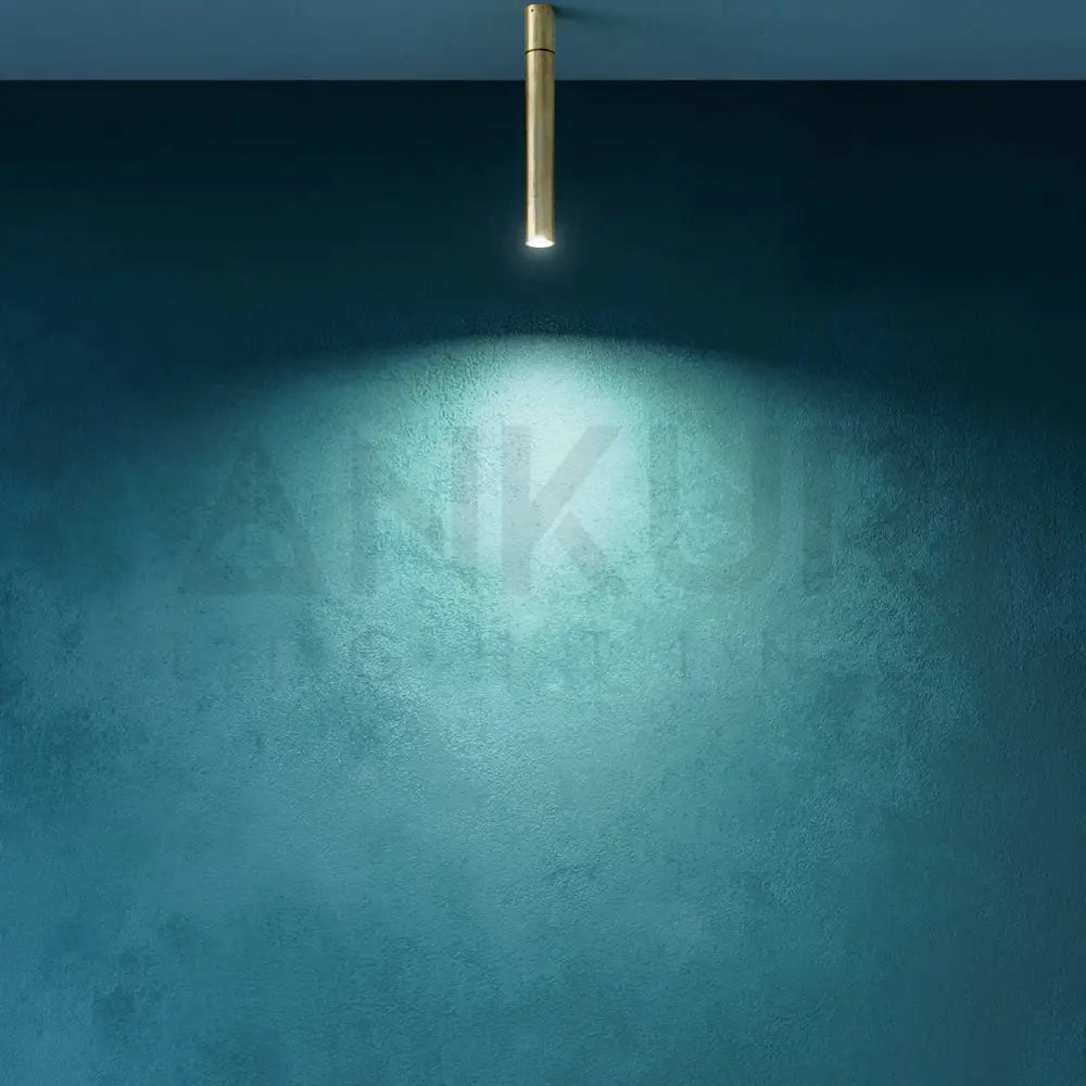 ANKUR CARGO METAL AND BRASS FINISH BEDSIDE LED WALL LIGHT