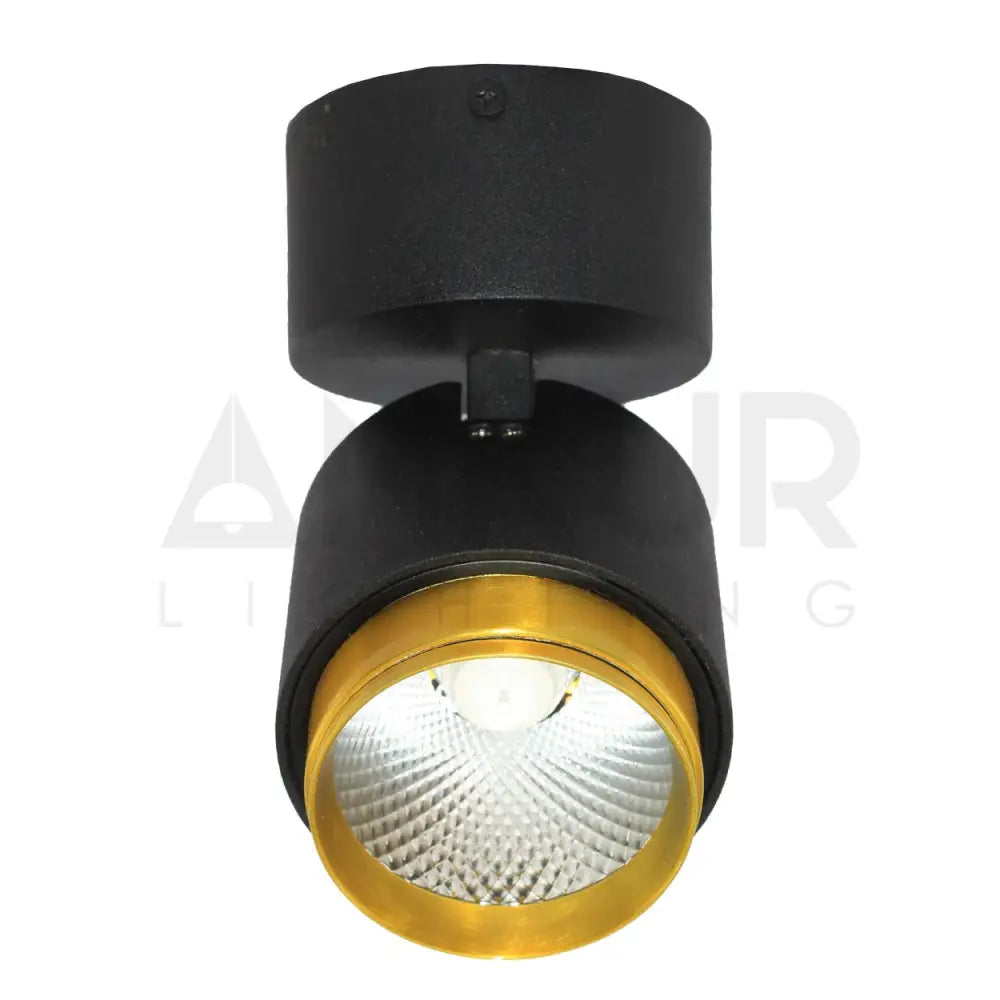 ANKUR DUAL TONE LED SURFACE LIGHT - Ankur Lighting