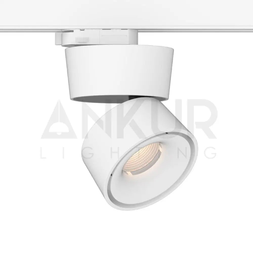 ANKUR EURO BEND LED LIGHT - Ankur Lighting