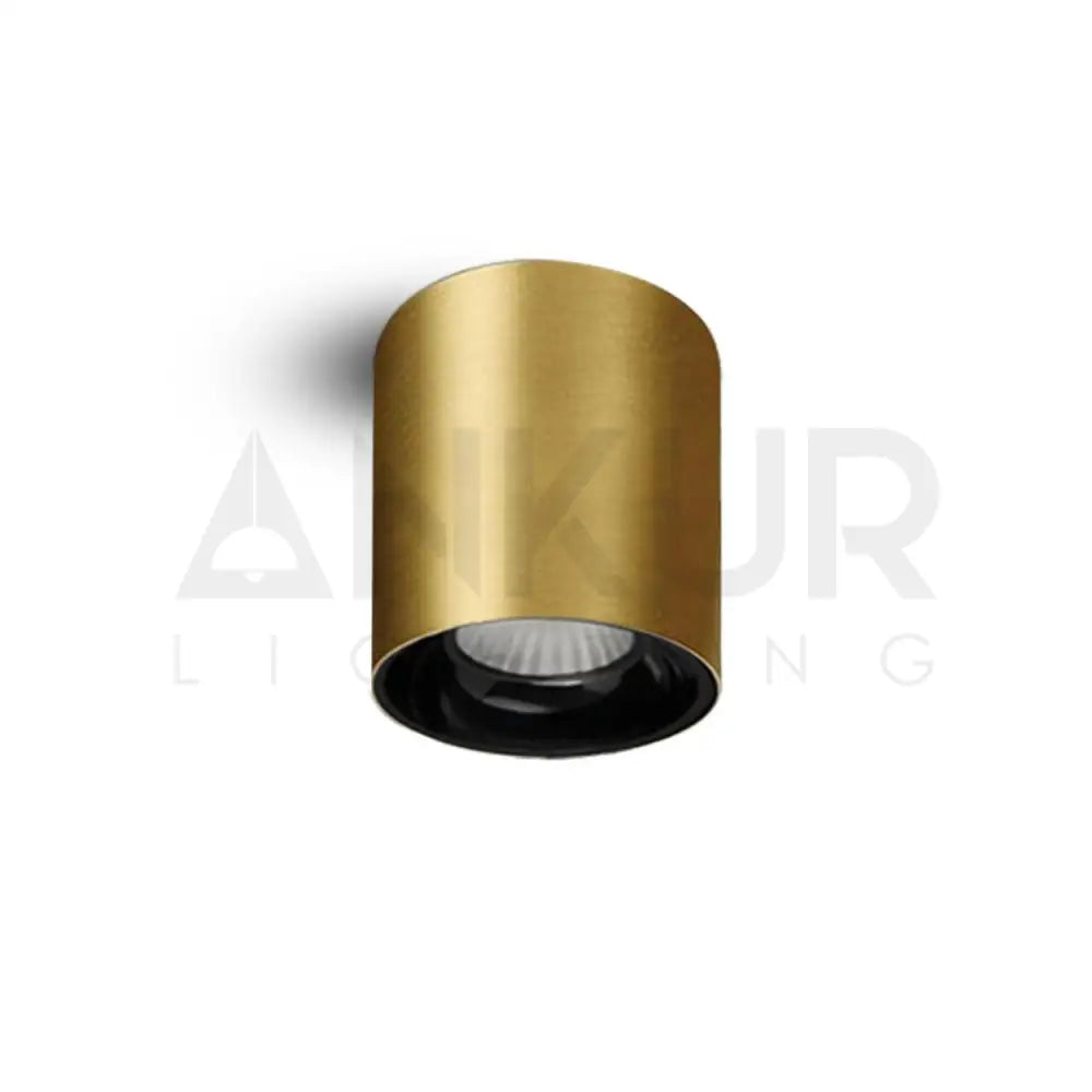 ANKUR GLITZ CYLINDRICAL SHAPE INDOOR CEILING MOUNTED SPOT LIGHT LED SURFACE DOWNLIGHT