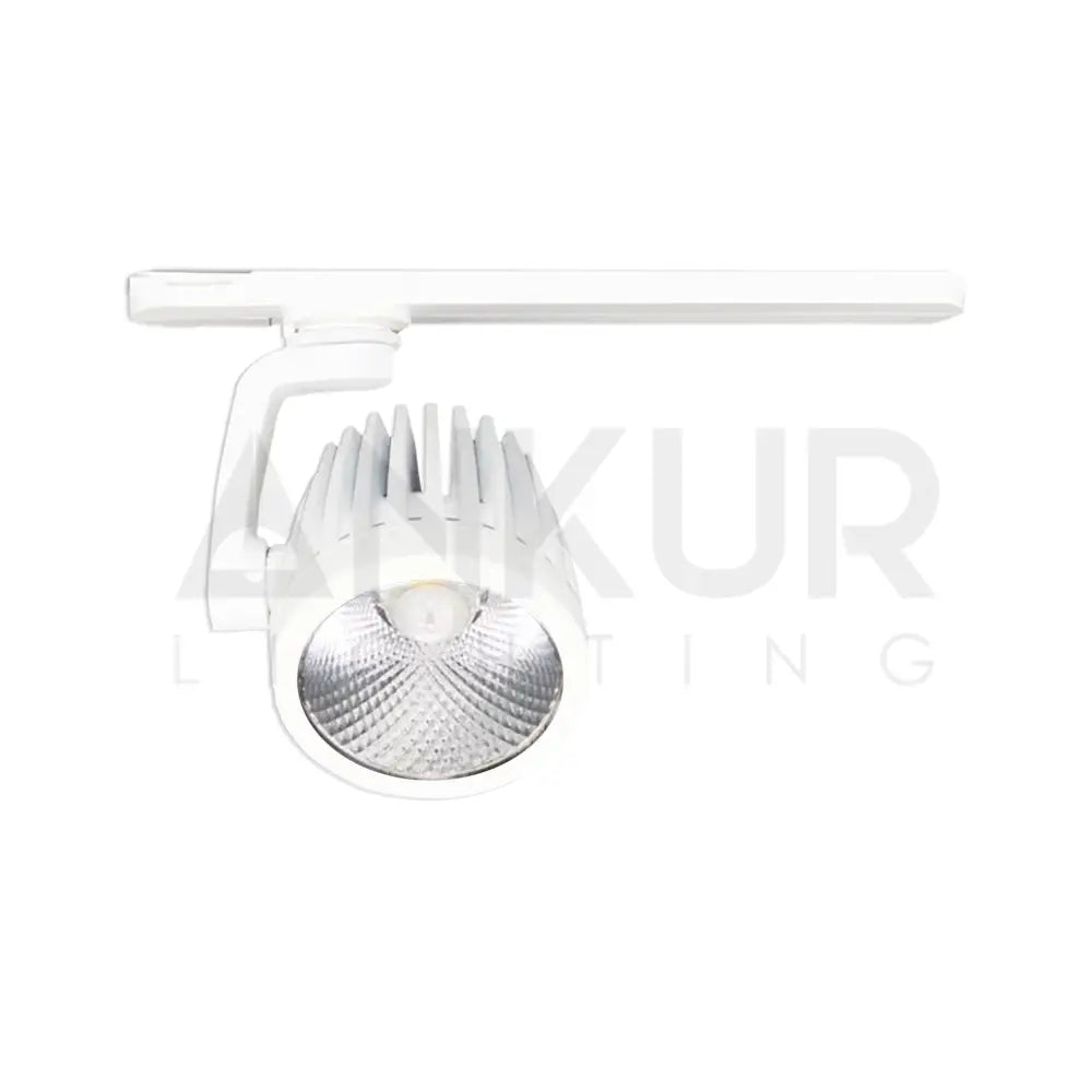 Ankur Trazor LED Track Light 30W / White / 3000K Track Light