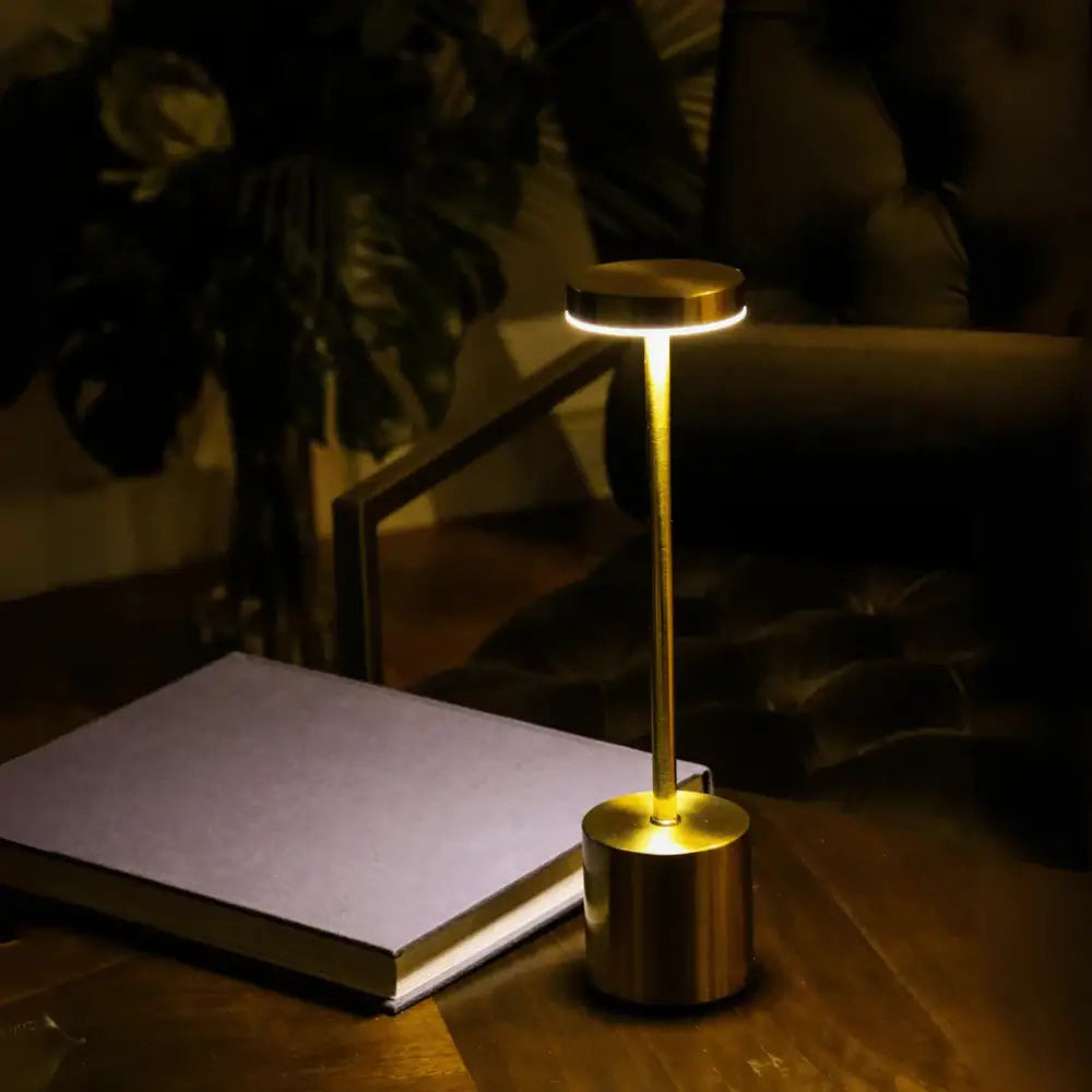 ANKUR UNPLUGGED AURORA WIRELESS TABLE LAMP Table Lamp