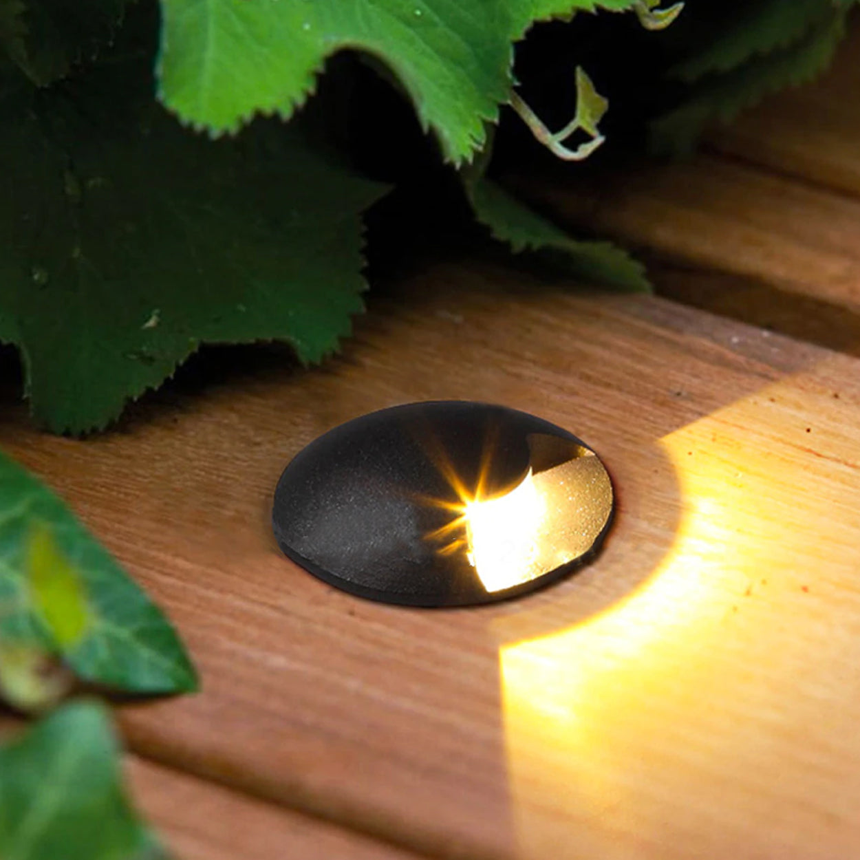 ANKUR PIANO LED LANDSCAPE PATHWAY LIGHT