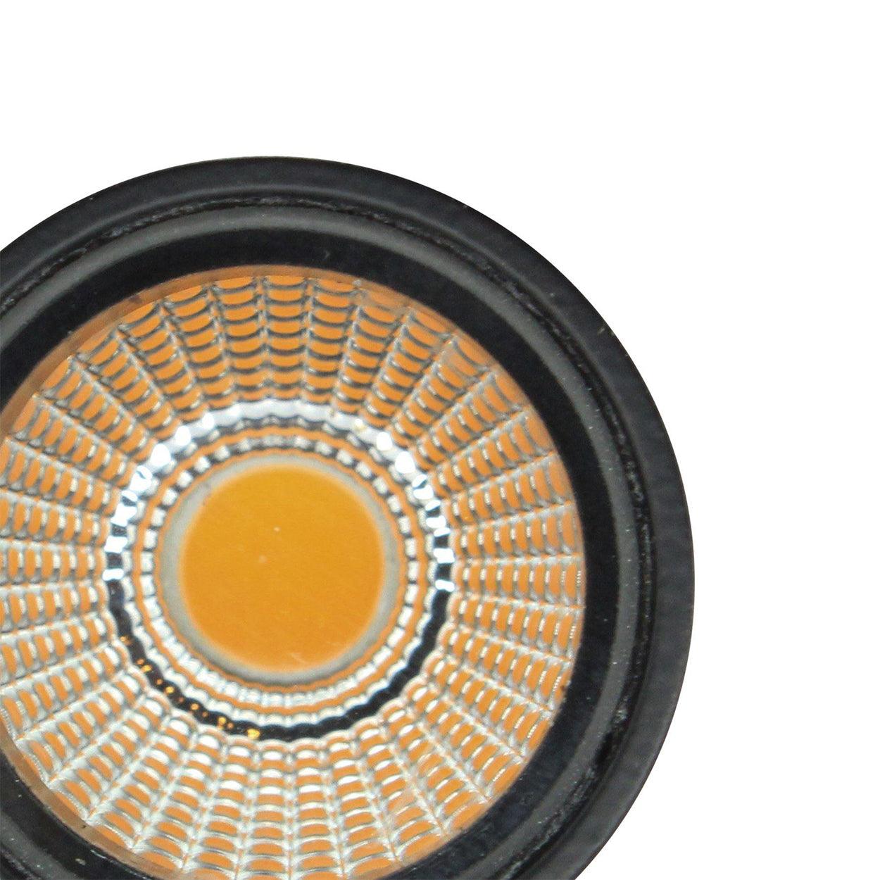 ANKUR DOXX LED OUTDOOR GARDEN FACADE LIGHT - Ankur Lighting