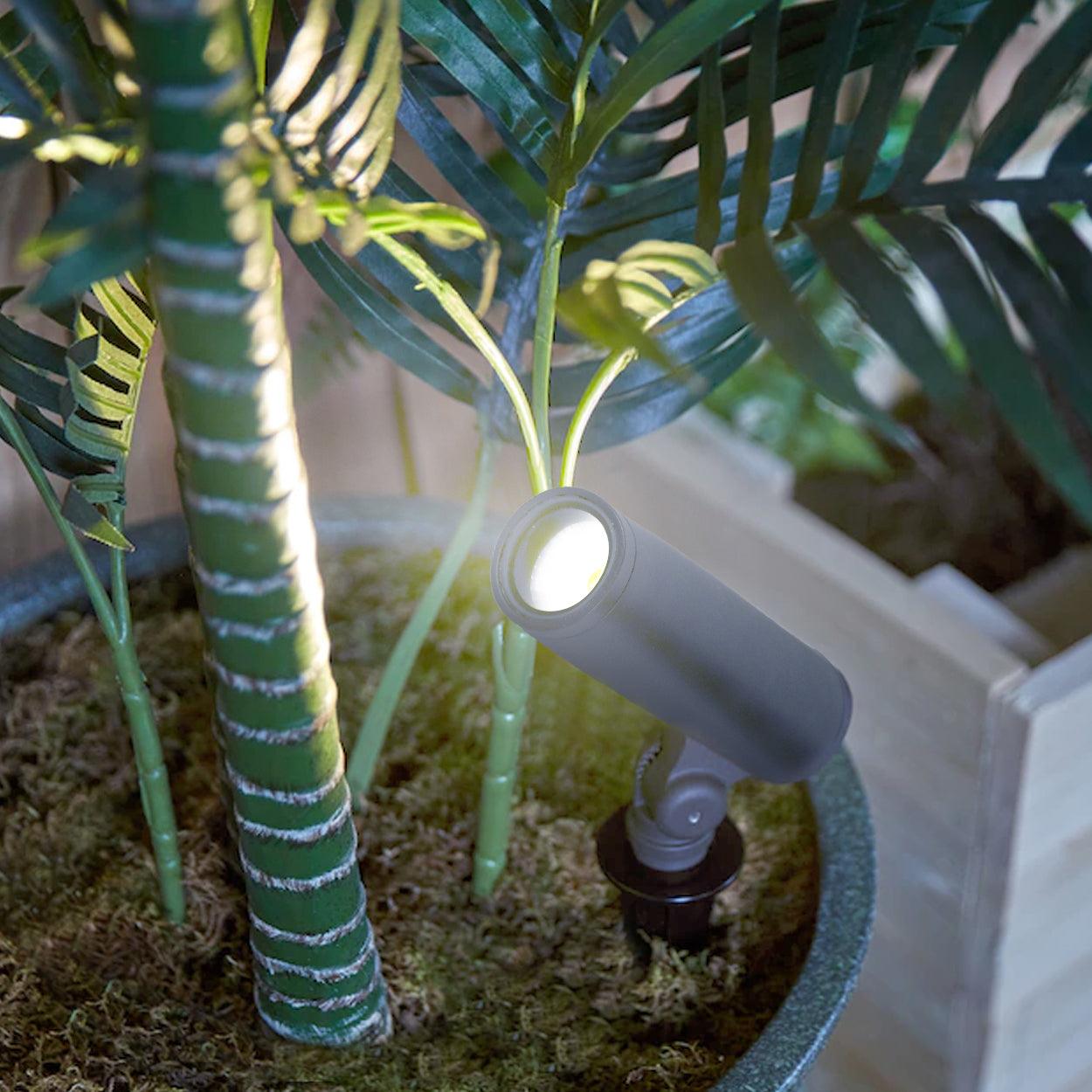 ANKUR DOXX LED OUTDOOR GARDEN FACADE LIGHT - Ankur Lighting